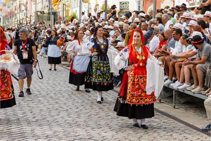 Cortejo2026_1654.jpg
