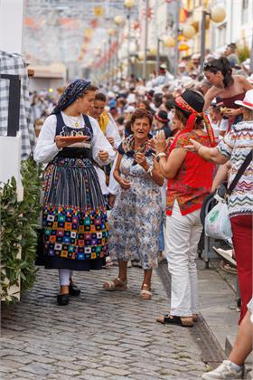 Cortejo2026_1688.jpg