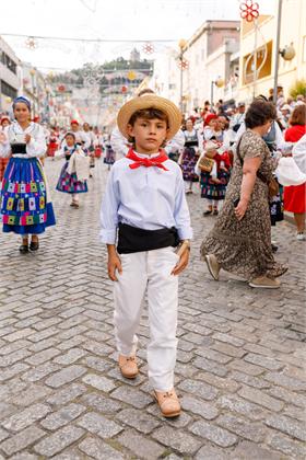 Cortejo2026_2169.jpg