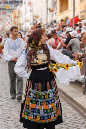 Cortejo2026_2252.jpg