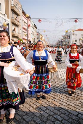 domingar2026_1118.jpg